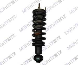 16. Standard Rear Shock Absorber Complete RPD000610 at MGFnTFBITZ