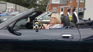 79.Gizmo looking super stylish in the MGF ready to set off for Topless Around The Peak District Charity Run 2018 at MGFnTFBITZ Glossop raising money for UK Homes 4 Heroes