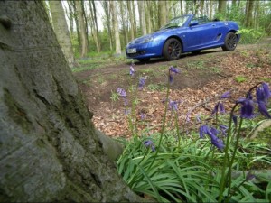 MG TF in the bluebellsMGFnTFBITZ Customer Cars Gallery